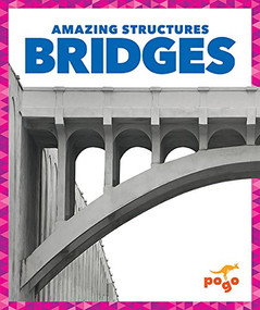 Bridges - 9781620314173 by Rebecca Pettiford, Dana Flemming, 9781620314173