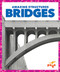Bridges - 9781620314173 by Rebecca Pettiford, Dana Flemming, 9781620314173