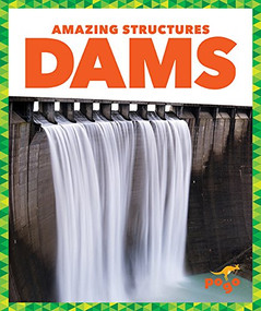 Dams - 9781620314180 by Rebecca Pettiford, Dana Flemming, 9781620314180