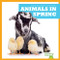 Animals in Spring - 9781620314784 by Jenny Fretland VanVoorst, Dana Flemming, 9781620314784