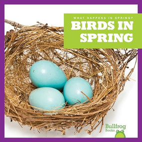Birds in Spring - 9781620314791 by Jenny Fretland VanVoorst, Dana Flemming, 9781620314791