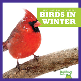 Birds in Winter - 9781620314982 by Jenny Fretland VanVoorst, 9781620314982
