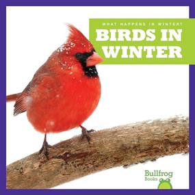 Birds in Winter - 9781620314982 by Jenny Fretland VanVoorst, 9781620314982
