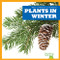 Plants in Winter - 9781620314999 by Jenny Fretland VanVoorst, 9781620314999