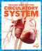Circulatory System - 9781620315965 by Karen Latchana Kenney, 9781620315965