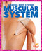 Muscular System - 9781620315996 by Karen Latchana Kenney, 9781620315996