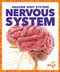 Nervous System - 9781620316009 by Karen Latchana Kenney, 9781620316009