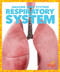 Respiratory System - 9781620316016 by Karen Latchana Kenney, 9781620316016