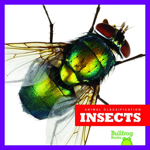 Insects - 9781620315934 by Erica Donner, 9781620315934