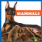 Mammals - 9781620315941 by Erica Donner, 9781620315941