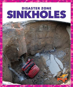 Sinkholes - 9781620316054 by Vanessa Black, Dana Flemming, 9781620316054