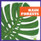 Rain Forests - 9781620317341 by Nadia Higgins, 9781620317341