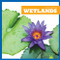 Wetlands - 9781620317365 by Nadia Higgins, 9781620317365