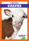 Calves - 9781620317860 by Tim Mayerling, 9781620317860
