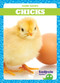 Chicks - 9781620317853 by Tim Mayerling, Dana Fleming, 9781620317853