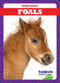 Foals - 9781620317877 by Tim Mayerling, 9781620317877