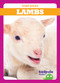 Piglets - 9781620317884 by Tim Mayerling, Dana Fleming, 9781620317884