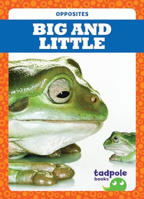 Big and Little - 9781620317709 by Erica Donner, Dana Flemming, 9781620317709