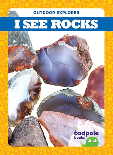 I See Rocks - 9781620319468 by Tim Mayerling, Dana Flemming, 9781620319468