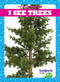 I See Trees - 9781620319505 by Tim Mayerling, Dana Flemming, 9781620319505