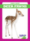 Deer Fawns by Genevieve Nilsen, Dana Flemming, 9781624969591
