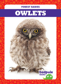 Owlets - 9781624969652 by Genevieve Nilsen, 9781624969652