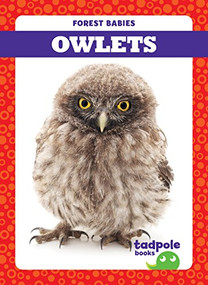 Owlets - 9781624969652 by Genevieve Nilsen, Dana Flemming, 9781624969652