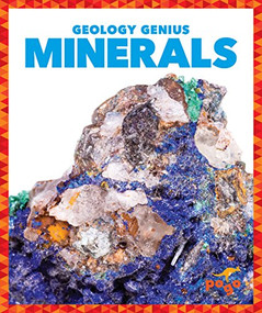 Minerals - 9781624968402 by Rebecca Pettiford, Dana Fleming, 9781624968402