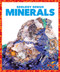Minerals - 9781624968402 by Rebecca Pettiford, Dana Fleming, 9781624968402