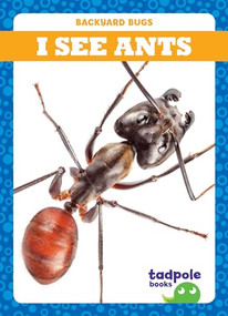 I See Ants - 9781641282178 by Genevieve Nilsen, Clayton Hansen, 9781641282178