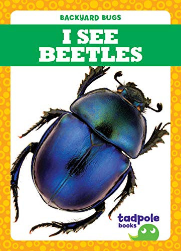 I See Beetles by Genevieve Nilsen, Clayton Hansen, 9781641287920