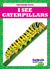 I See Caterpillars by Genevieve Nilsen, Clayton Hansen, 9781641287951