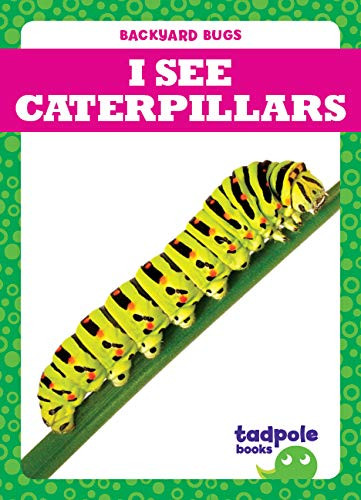I See Caterpillars by Genevieve Nilsen, Clayton Hansen, 9781641287951