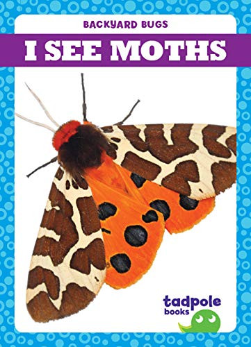 I See Moths - 9781641288019 by Genevieve Nilsen, Clayton Hansen, 9781641288019
