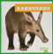 Aardvarks - 9781641285506 by Penelope S. Nelson, Clayton Hansen, 9781641285506