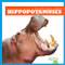 Hippopotamuses - 9781641285544 by Penelope S. Nelson, Clayton Hansen, 9781641285544