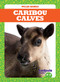 Caribou Calves by Genevieve Nilsen, Clayton Hansen, 9781641287470