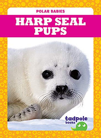 Harp Seal Pups by Genevieve Nilsen, Clayton Hansen, 9781641287500