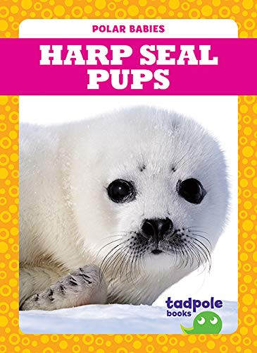 Harp Seal Pups by Genevieve Nilsen, Clayton Hansen, 9781641287500
