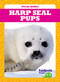 Harp Seal Pups by Genevieve Nilsen, Clayton Hansen, 9781641287500