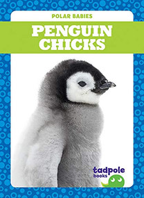 Penguin Chicks - 9781641287531 by Genevieve Nilsen, Clayton Hansen, 9781641287531