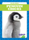 Penguin Chicks - 9781641287531 by Genevieve Nilsen, Clayton Hansen, 9781641287531