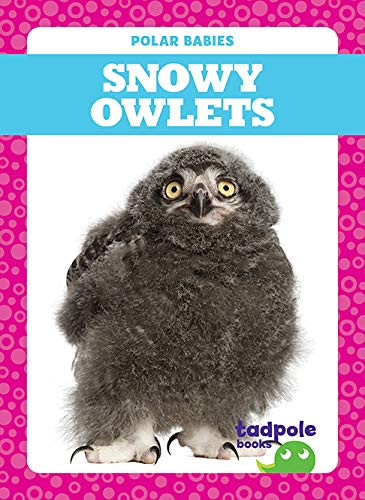 Snowy Owlets by Genevieve Nilsen, Clayton Hansen, 9781641287593