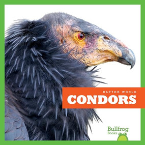 Condors - 9781641286367 by Jenna Lee Gleisner, Clayton Hansen, 9781641286367