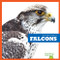 Falcons - 9781641286282 by Jenna Lee Gleisner, Clayton Hansen, 9781641286282