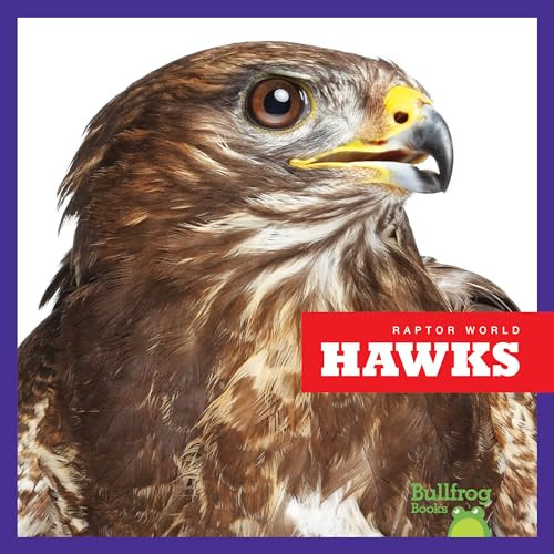 Hawks - 9781641286305 by Jenna Lee Gleisner, Clayton Hansen, 9781641286305
