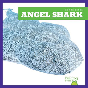 Angel Shark by Jenna Lee Gleisner, Clayton Hansen, 9781641289559