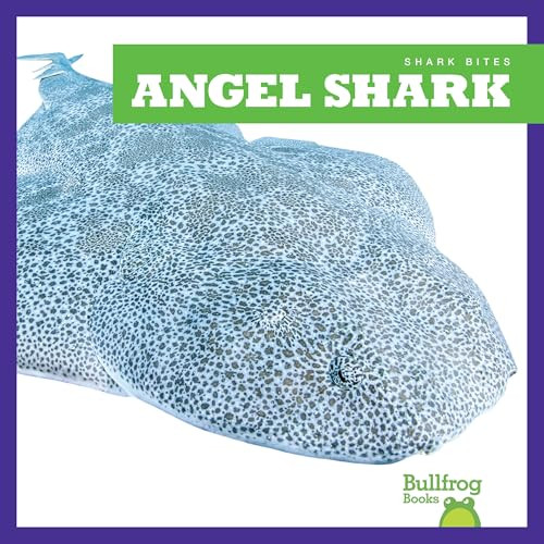 Angel Shark by Jenna Lee Gleisner, Clayton Hansen, 9781641289559