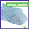 Angel Shark by Jenna Lee Gleisner, Clayton Hansen, 9781641289559