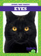 Eyes - 9781641286947 by Jenna Lee Gleisner, 9781641286947